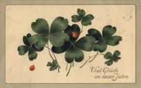 Postal ilustrado