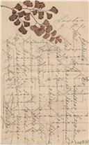 Carta
