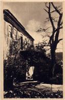 Famalicão - A Acácia do Jorge em S. Miguel de Seide