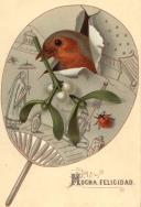 Postal ilustrado