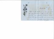 Carta