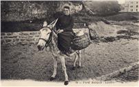 Postal ilustrado